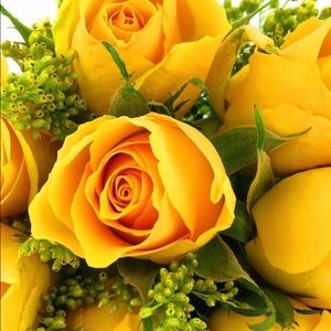 Meet your Posher, Alina